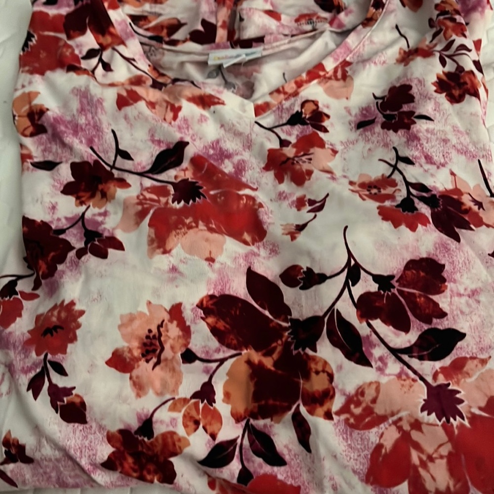 Elizabeth long sleeve tunic.